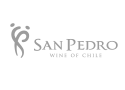 https://bwfcorp.com/en/wp-content/uploads/2015/05/sanpedro.png
